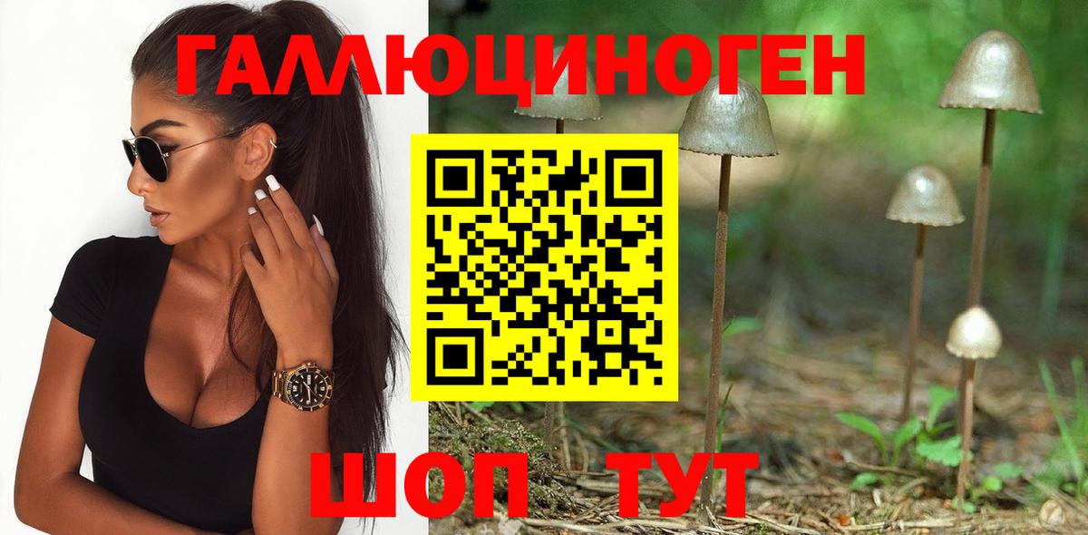 Мурино  Псилоцибиновые грибы GOLDEN TEACHER  Вход с VPN 